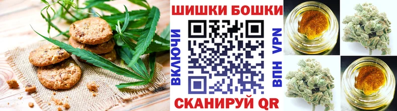 Cannafood конопля  купить  цена  OMG зеркало  Ставрополь 