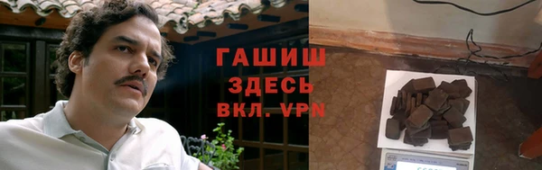 ALPHA PVP Гусев