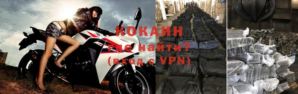 ALPHA PVP Гусев