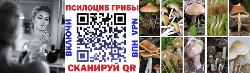 Галлюциногенные грибы ЛСД  Ставрополь 